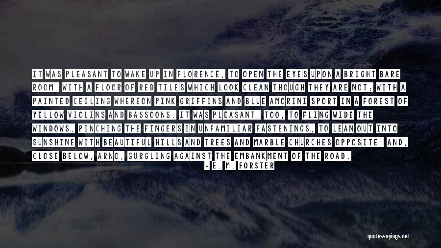 Pinching Yourself Quotes By E. M. Forster Pinching Yourself Quotes By E. M. Forster