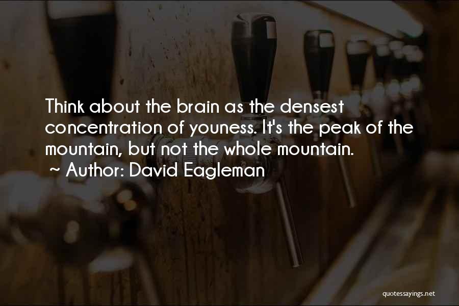 Pinchus Einhorn Quotes By David Eagleman