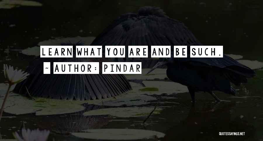 Pindar Quotes 800316