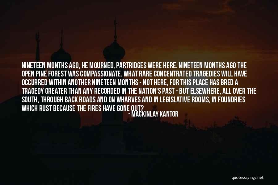 Pine Forest Quotes By MacKinlay Kantor Pine Forest Quotes By MacKinlay Kantor