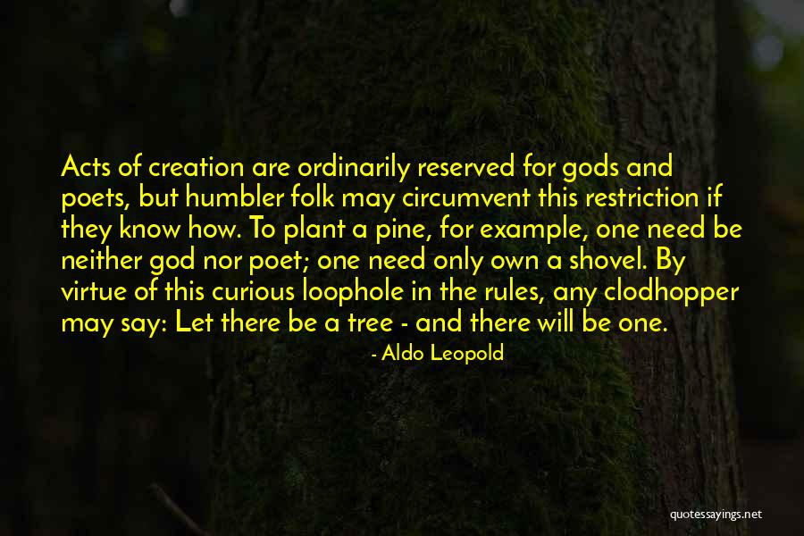 Pine Tree Quotes By Aldo Leopold Pine Tree Quotes By Aldo Leopold