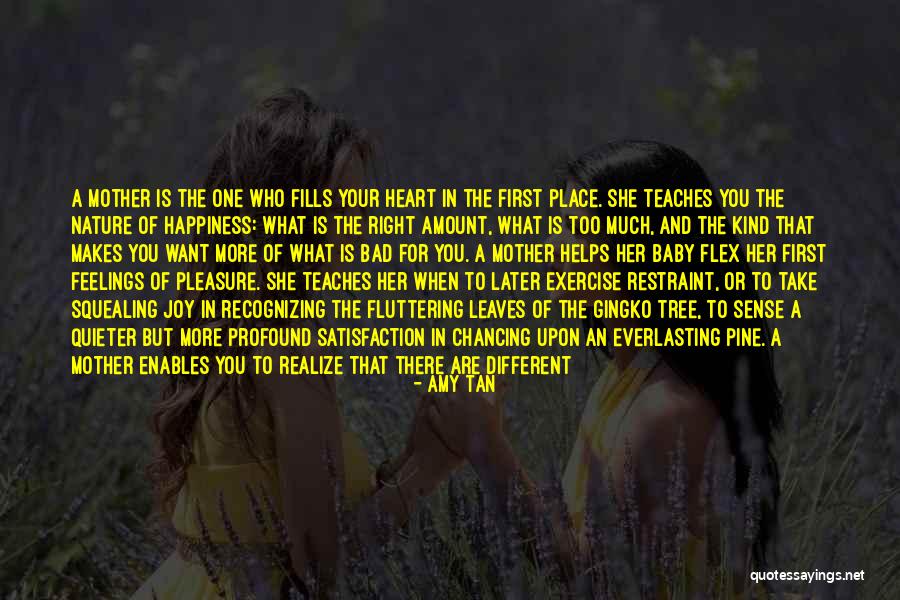 Pine Tree Quotes By Amy Tan Pine Tree Quotes By Amy Tan