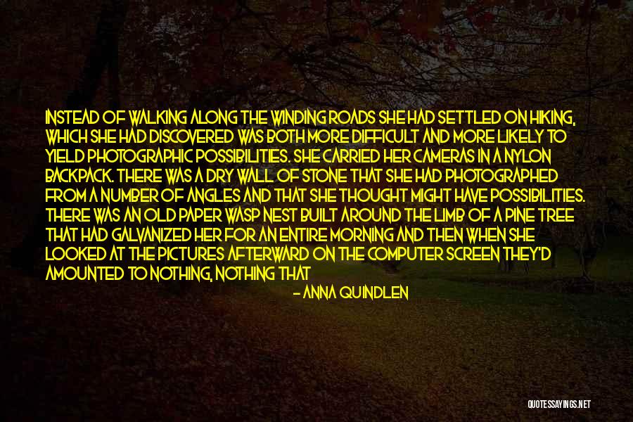 Pine Tree Quotes By Anna Quindlen Pine Tree Quotes By Anna Quindlen