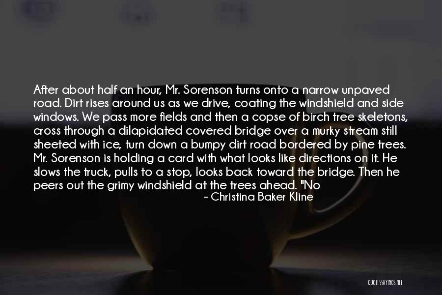 Pine Tree Quotes By Christina Baker Kline Pine Tree Quotes By Christina Baker Kline