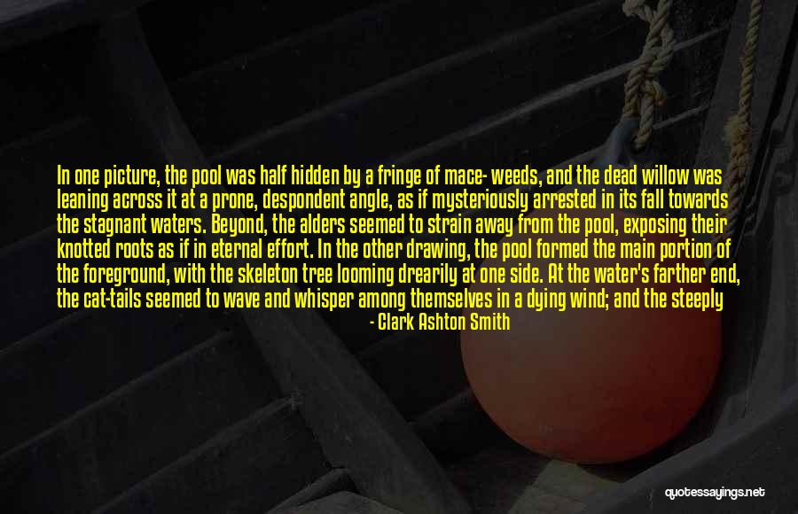Pine Tree Quotes By Clark Ashton Smith Pine Tree Quotes By Clark Ashton Smith