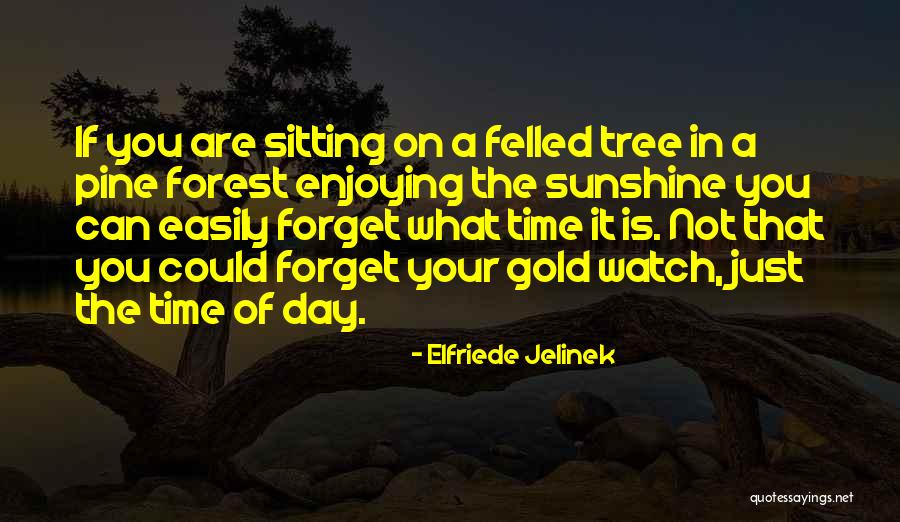 Pine Tree Quotes By Elfriede Jelinek Pine Tree Quotes By Elfriede Jelinek