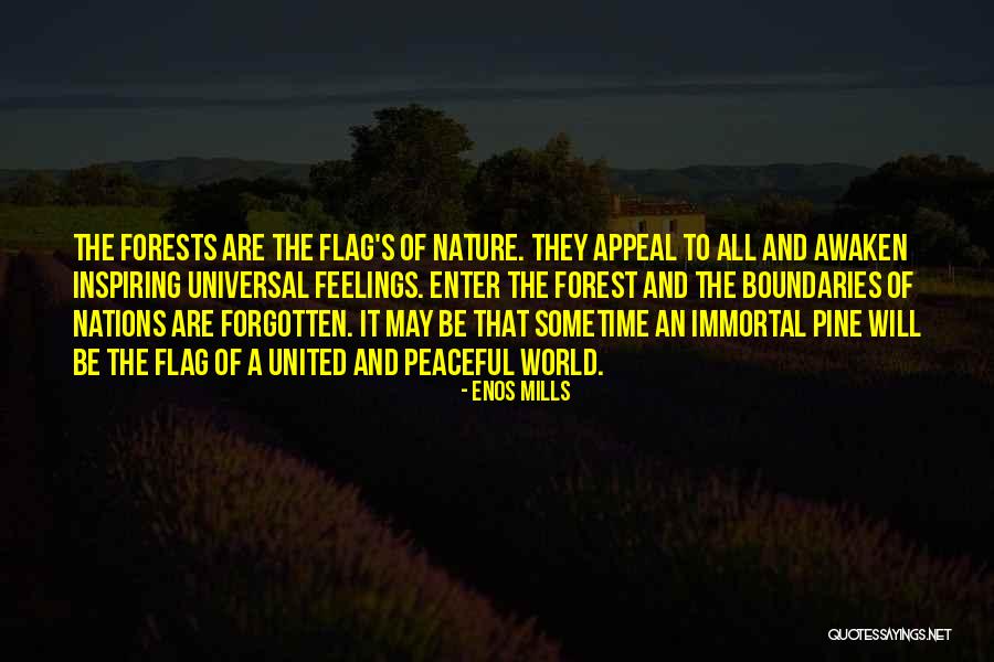 Pine Tree Quotes By Enos Mills Pine Tree Quotes By Enos Mills