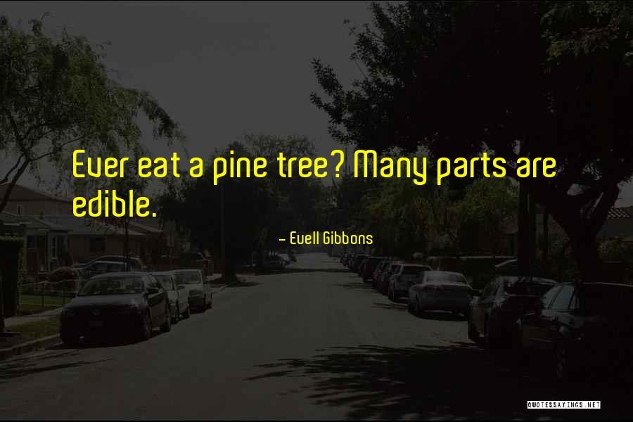 Pine Tree Quotes By Euell Gibbons Pine Tree Quotes By Euell Gibbons