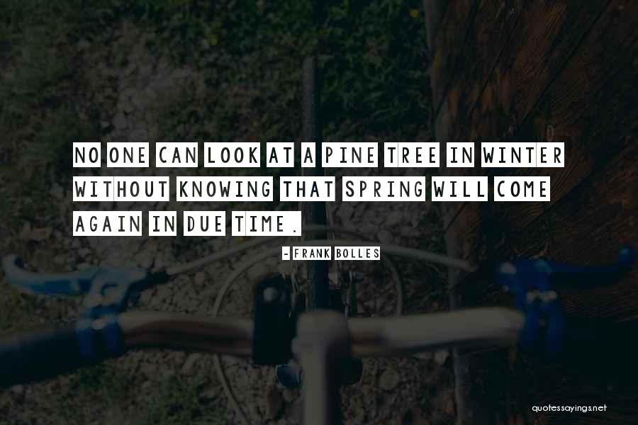 Pine Tree Quotes By Frank Bolles Pine Tree Quotes By Frank Bolles