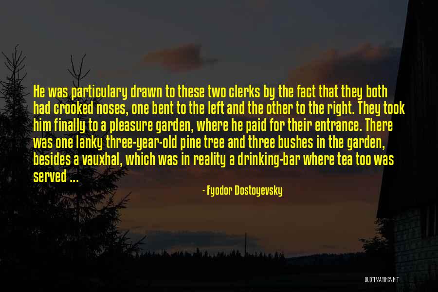Pine Tree Quotes By Fyodor Dostoyevsky Pine Tree Quotes By Fyodor Dostoyevsky