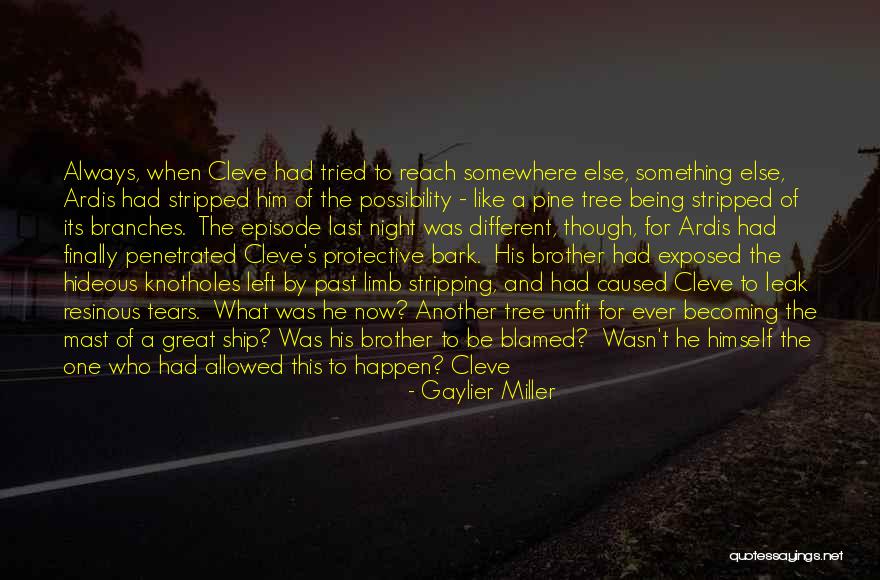 Pine Tree Quotes By Gaylier Miller Pine Tree Quotes By Gaylier Miller
