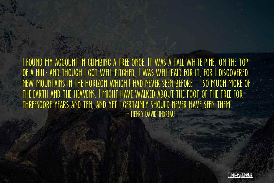 Pine Tree Quotes By Henry David Thoreau Pine Tree Quotes By Henry David Thoreau