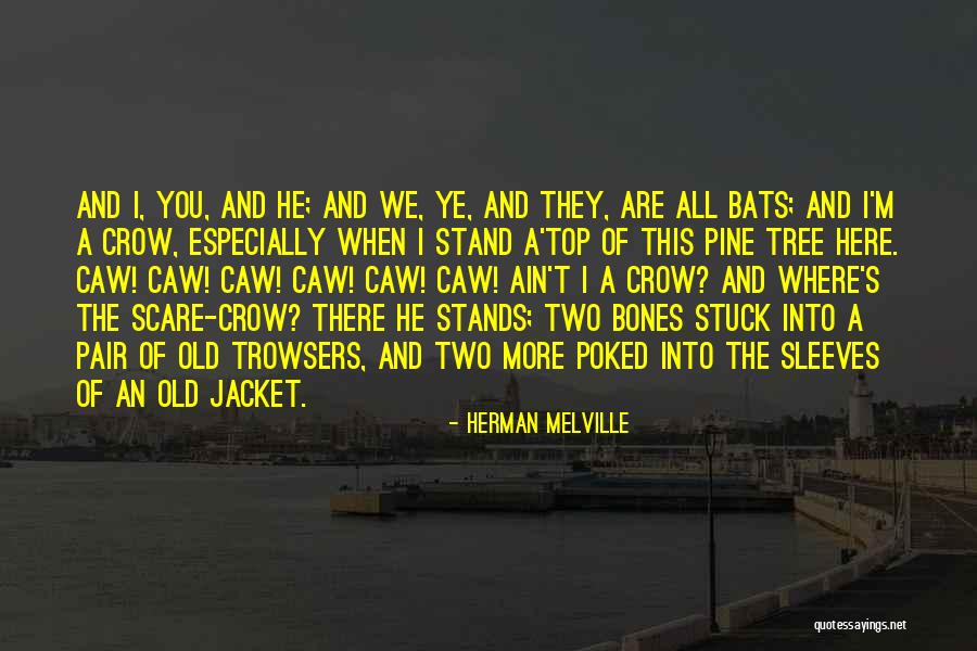 Pine Tree Quotes By Herman Melville Pine Tree Quotes By Herman Melville