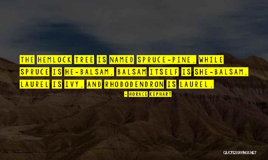 Pine Tree Quotes By Horace Kephart Pine Tree Quotes By Horace Kephart