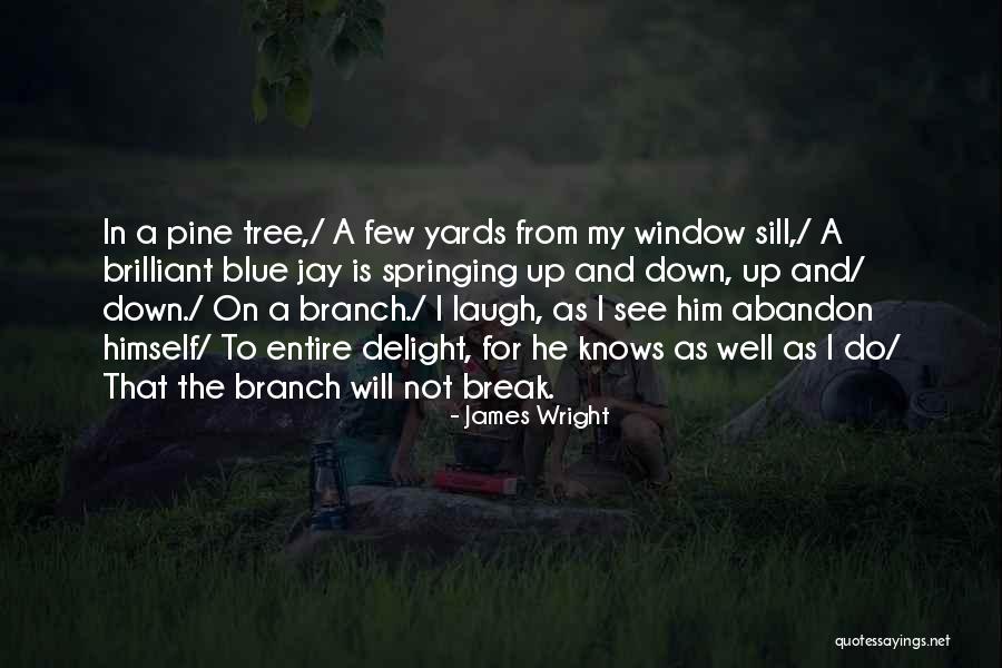 Pine Tree Quotes By James Wright Pine Tree Quotes By James Wright