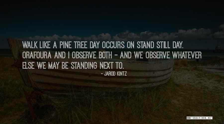 Pine Tree Quotes By Jarod Kintz Pine Tree Quotes By Jarod Kintz