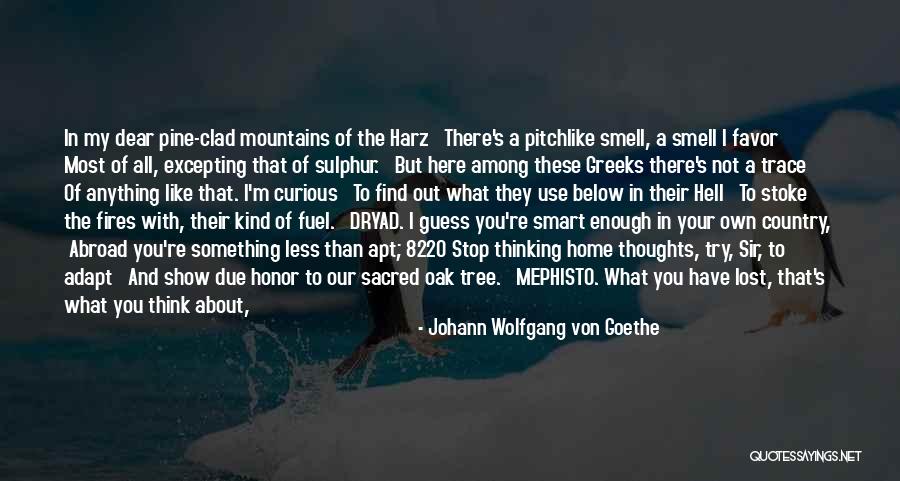 Pine Tree Quotes By Johann Wolfgang Von Goethe Pine Tree Quotes By Johann Wolfgang Von Goethe