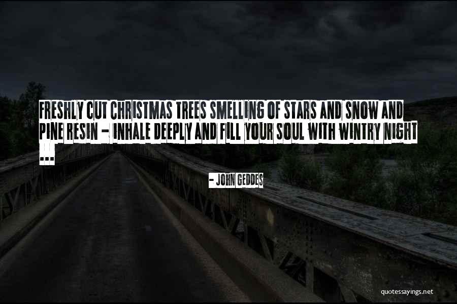 Pine Tree Quotes By John Geddes Pine Tree Quotes By John Geddes