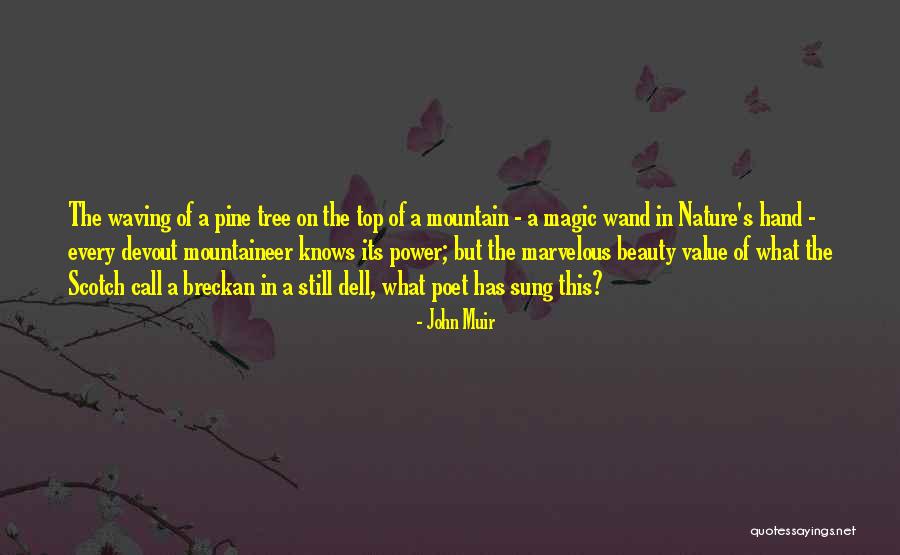 Pine Tree Quotes By John Muir Pine Tree Quotes By John Muir
