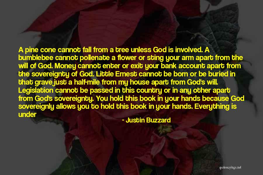 Pine Tree Quotes By Justin Buzzard Pine Tree Quotes By Justin Buzzard