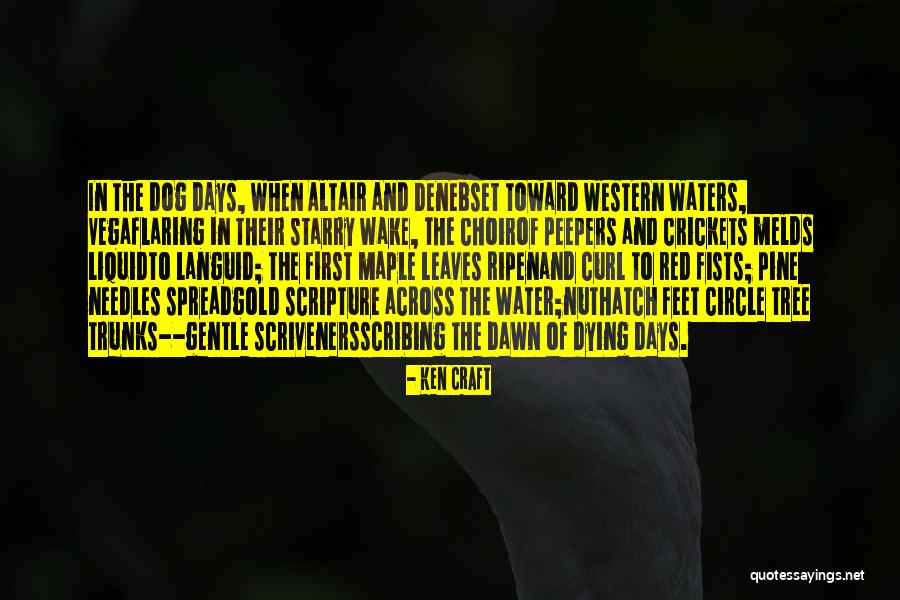 Pine Tree Quotes By Ken Craft Pine Tree Quotes By Ken Craft