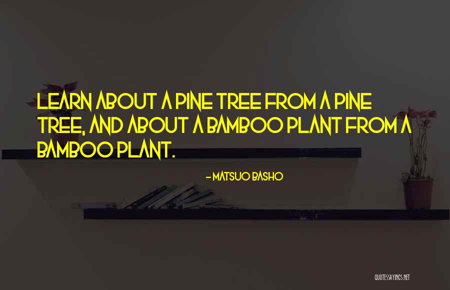 Pine Tree Quotes By Matsuo Basho Pine Tree Quotes By Matsuo Basho