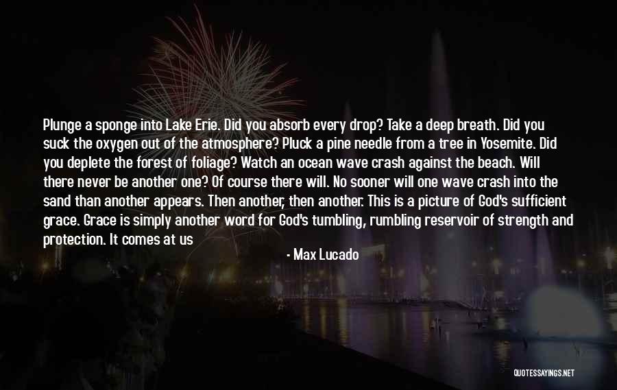 Pine Tree Quotes By Max Lucado Pine Tree Quotes By Max Lucado