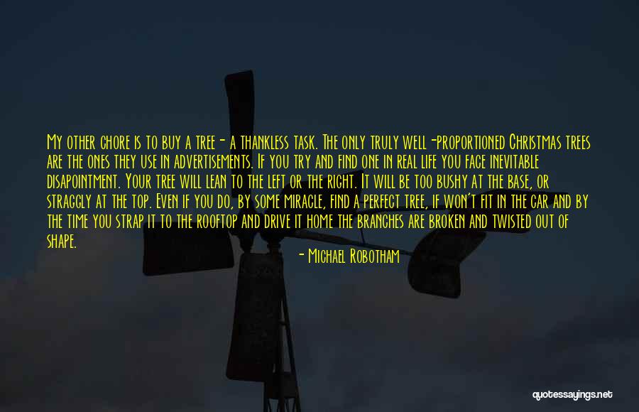 Pine Tree Quotes By Michael Robotham Pine Tree Quotes By Michael Robotham