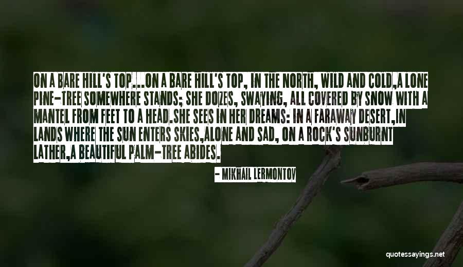 Pine Tree Quotes By Mikhail Lermontov Pine Tree Quotes By Mikhail Lermontov
