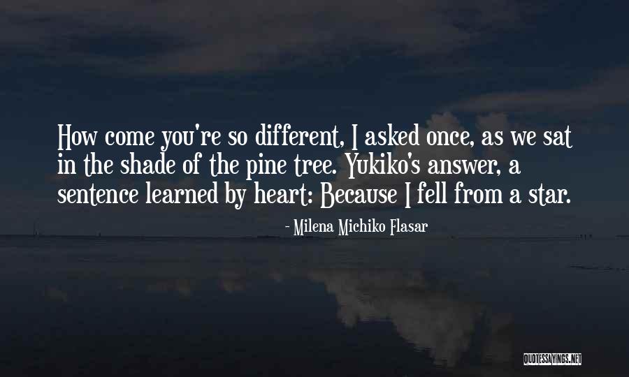Pine Tree Quotes By Milena Michiko Flasar Pine Tree Quotes By Milena Michiko Flasar