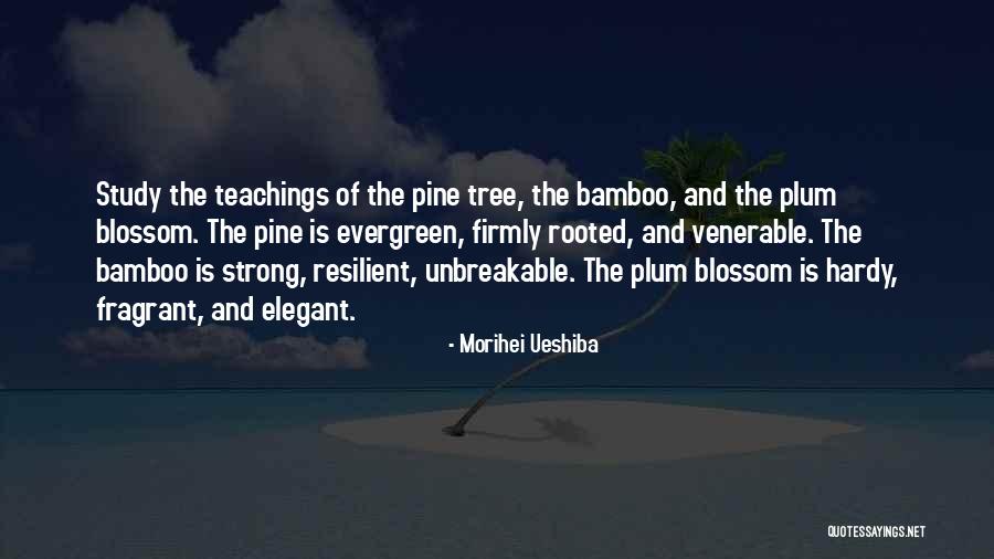 Pine Tree Quotes By Morihei Ueshiba Pine Tree Quotes By Morihei Ueshiba