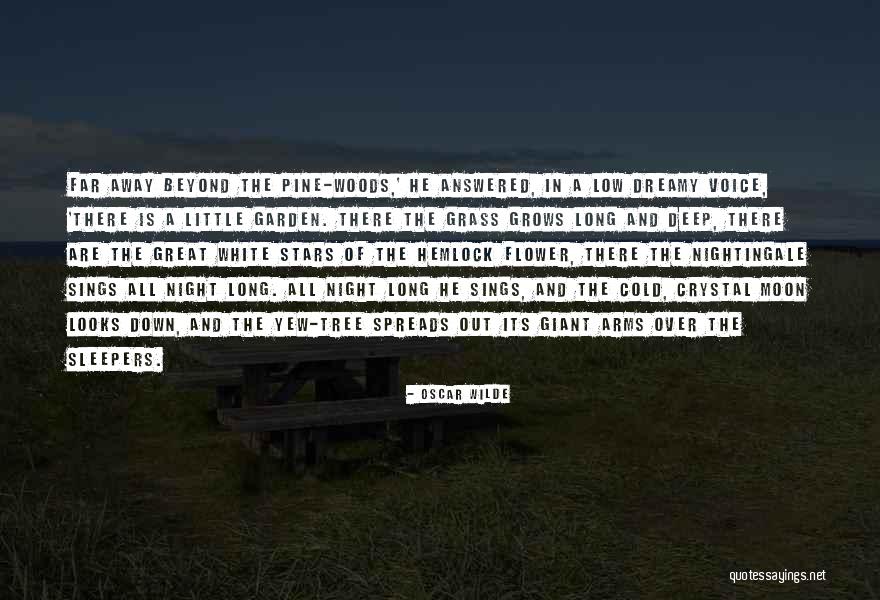 Pine Tree Quotes By Oscar Wilde Pine Tree Quotes By Oscar Wilde