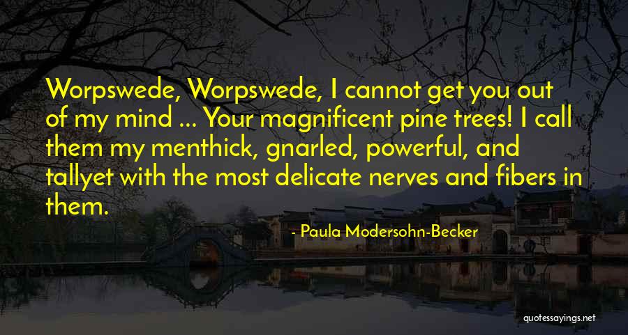 Pine Tree Quotes By Paula Modersohn-Becker Pine Tree Quotes By Paula Modersohn-Becker