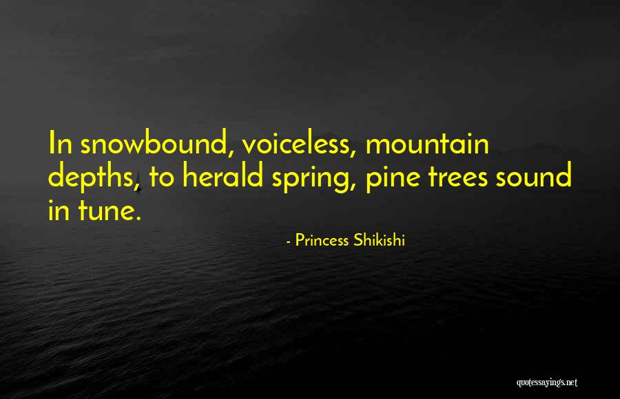 Pine Tree Quotes By Princess Shikishi Pine Tree Quotes By Princess Shikishi