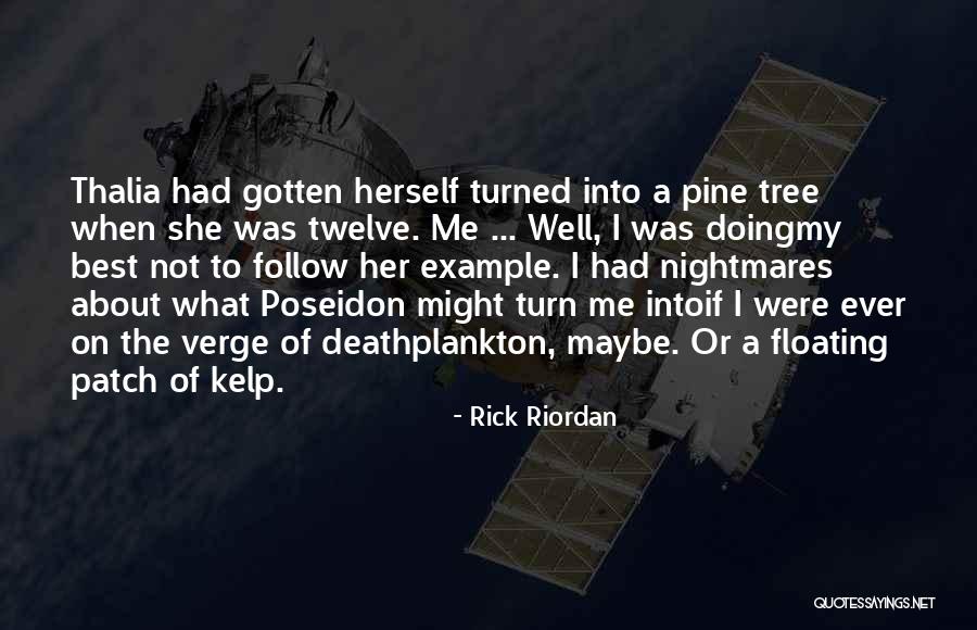 Pine Tree Quotes By Rick Riordan Pine Tree Quotes By Rick Riordan
