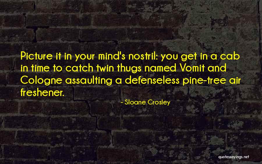 Pine Tree Quotes By Sloane Crosley Pine Tree Quotes By Sloane Crosley
