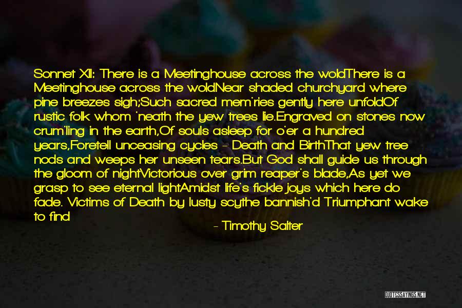 Pine Tree Quotes By Timothy Salter Pine Tree Quotes By Timothy Salter