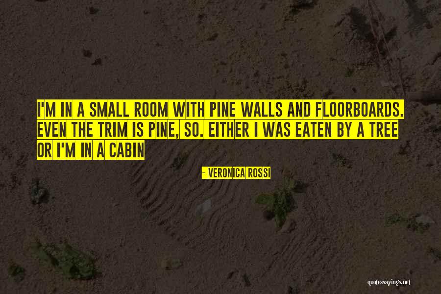 Pine Tree Quotes By Veronica Rossi Pine Tree Quotes By Veronica Rossi