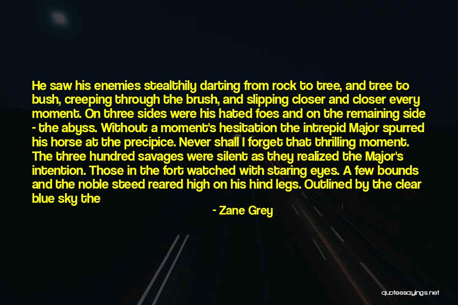 Pine Tree Quotes By Zane Grey Pine Tree Quotes By Zane Grey