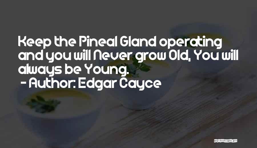 Pineal Gland Quotes By Edgar Cayce