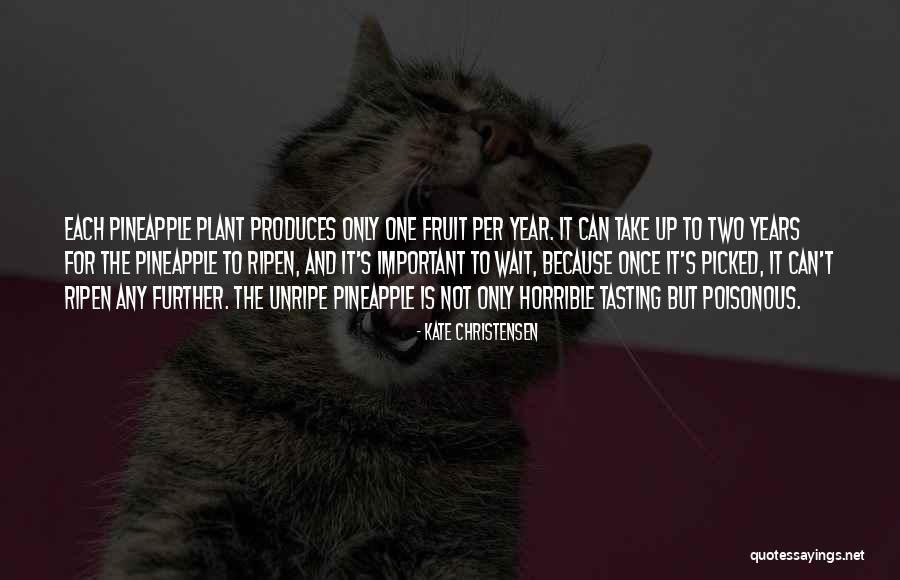Pineapple Plant Quotes By Kate Christensen Pineapple Plant Quotes By Kate Christensen