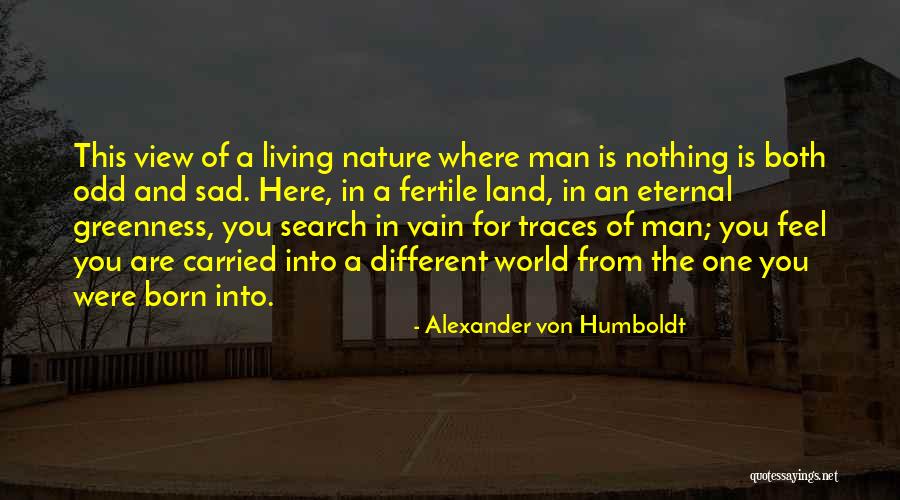 Pineapples Benefits Quotes By Alexander Von Humboldt Pineapples Benefits Quotes By Alexander Von Humboldt