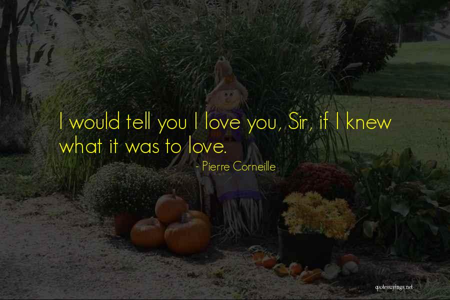 Pinelands Quotes By Pierre Corneille Pinelands Quotes By Pierre Corneille