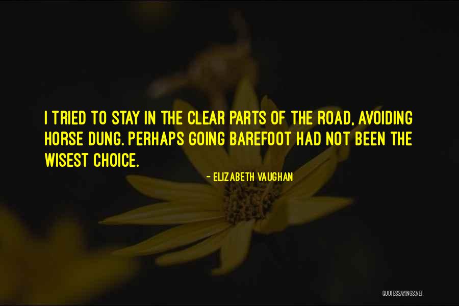 Pinella Quotes By Elizabeth Vaughan Pinella Quotes By Elizabeth Vaughan