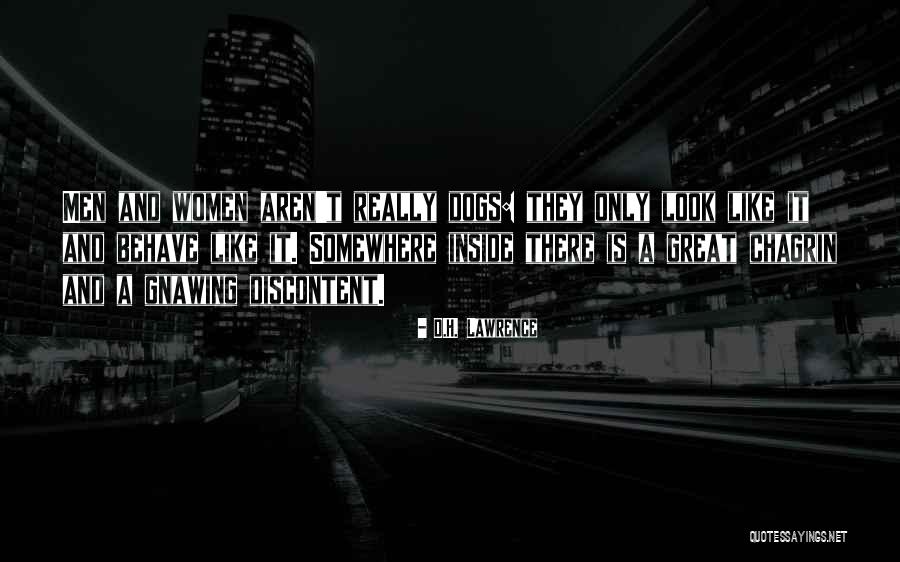 Pinera En Quotes By D.H. Lawrence Pinera En Quotes By D.H. Lawrence