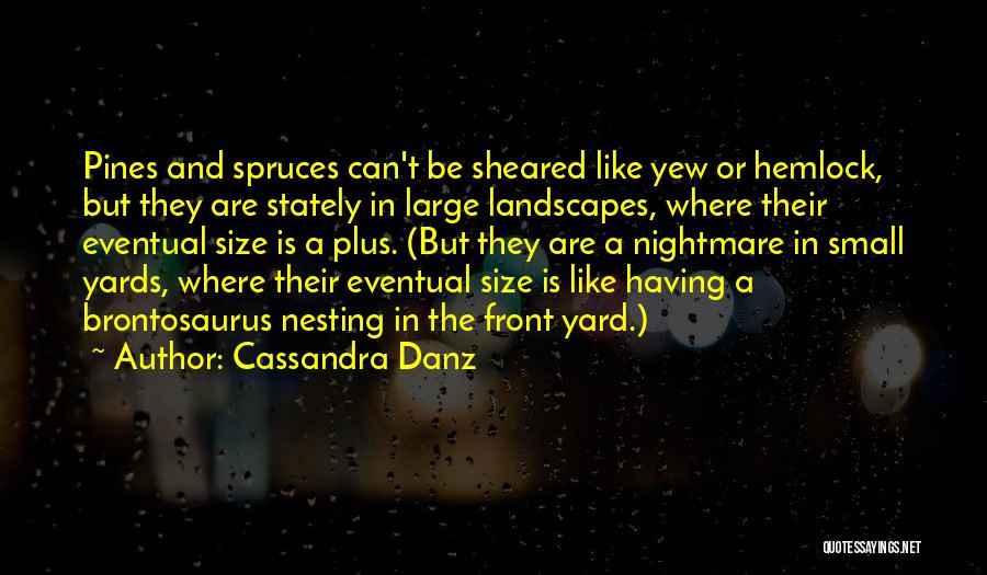 Pines Tree Quotes By Cassandra Danz