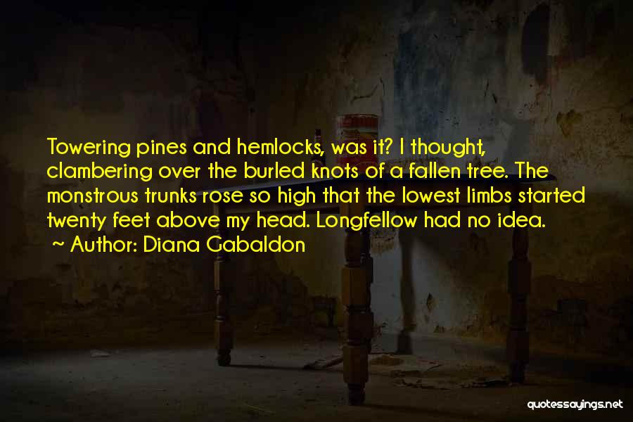 Pines Tree Quotes By Diana Gabaldon