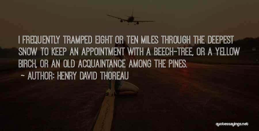 Pines Tree Quotes By Henry David Thoreau