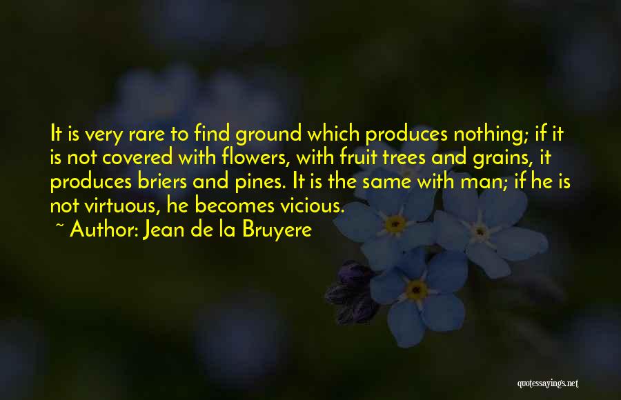 Pines Tree Quotes By Jean De La Bruyere