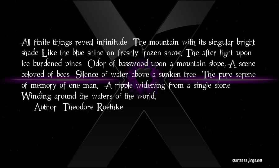 Pines Tree Quotes By Theodore Roethke
